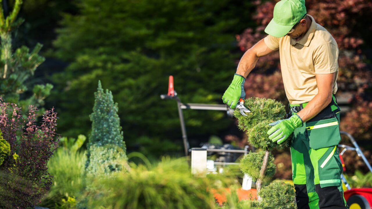 Why Regular Garden Maintenance Boosts Your Home’s Outdoor Value