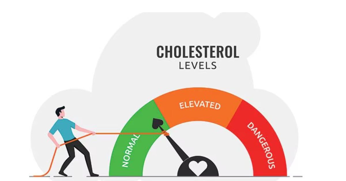 How can I lower cholesterol? 10 Proven Ways to Drop LDL Fast